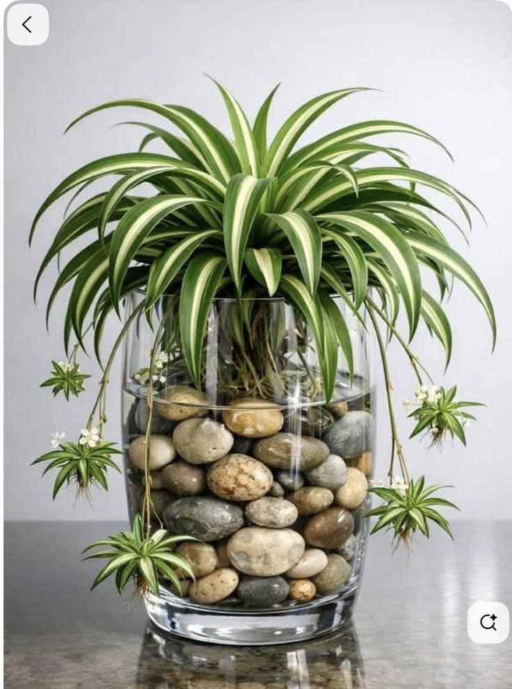 Gallery 20